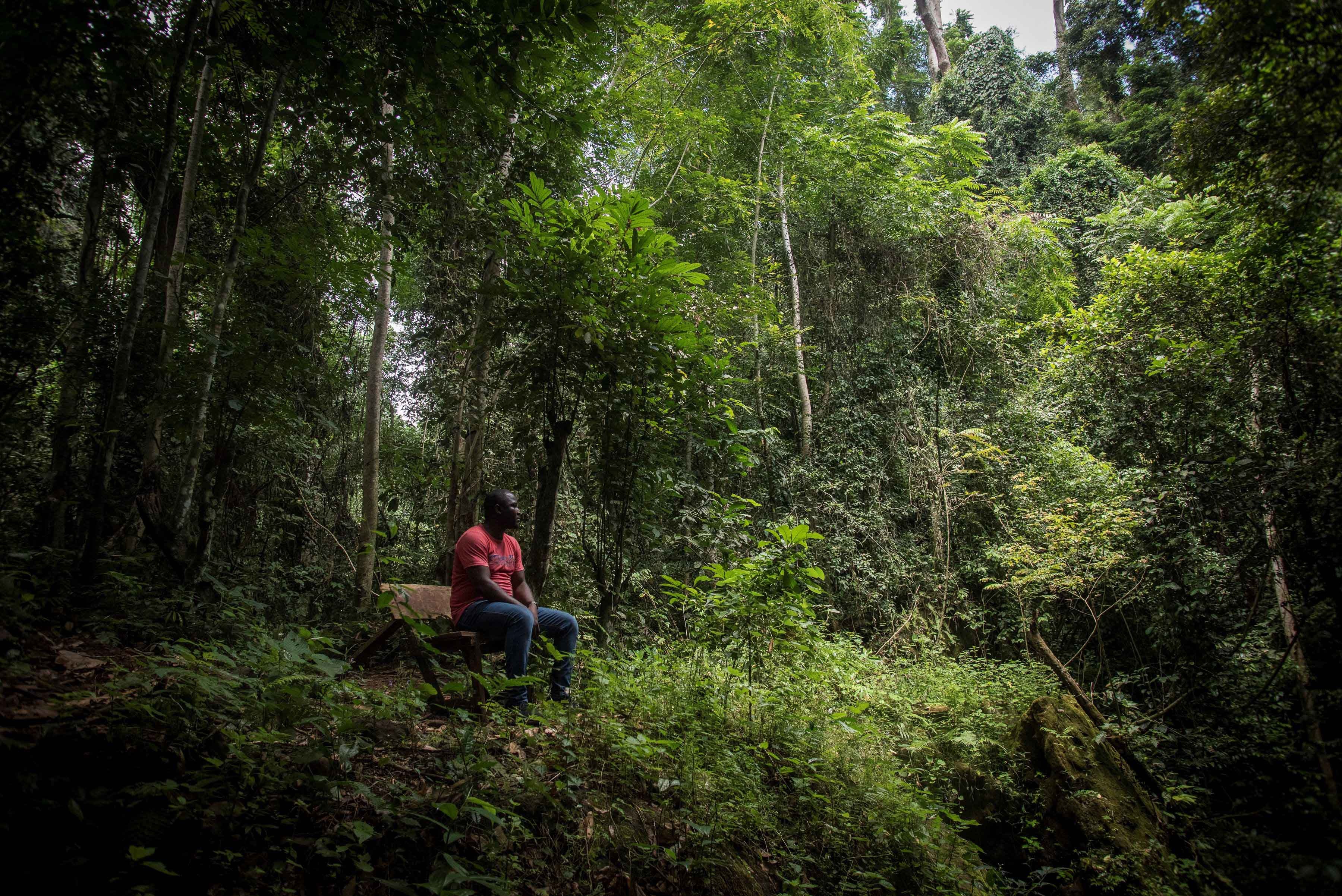 A man sits in a forest