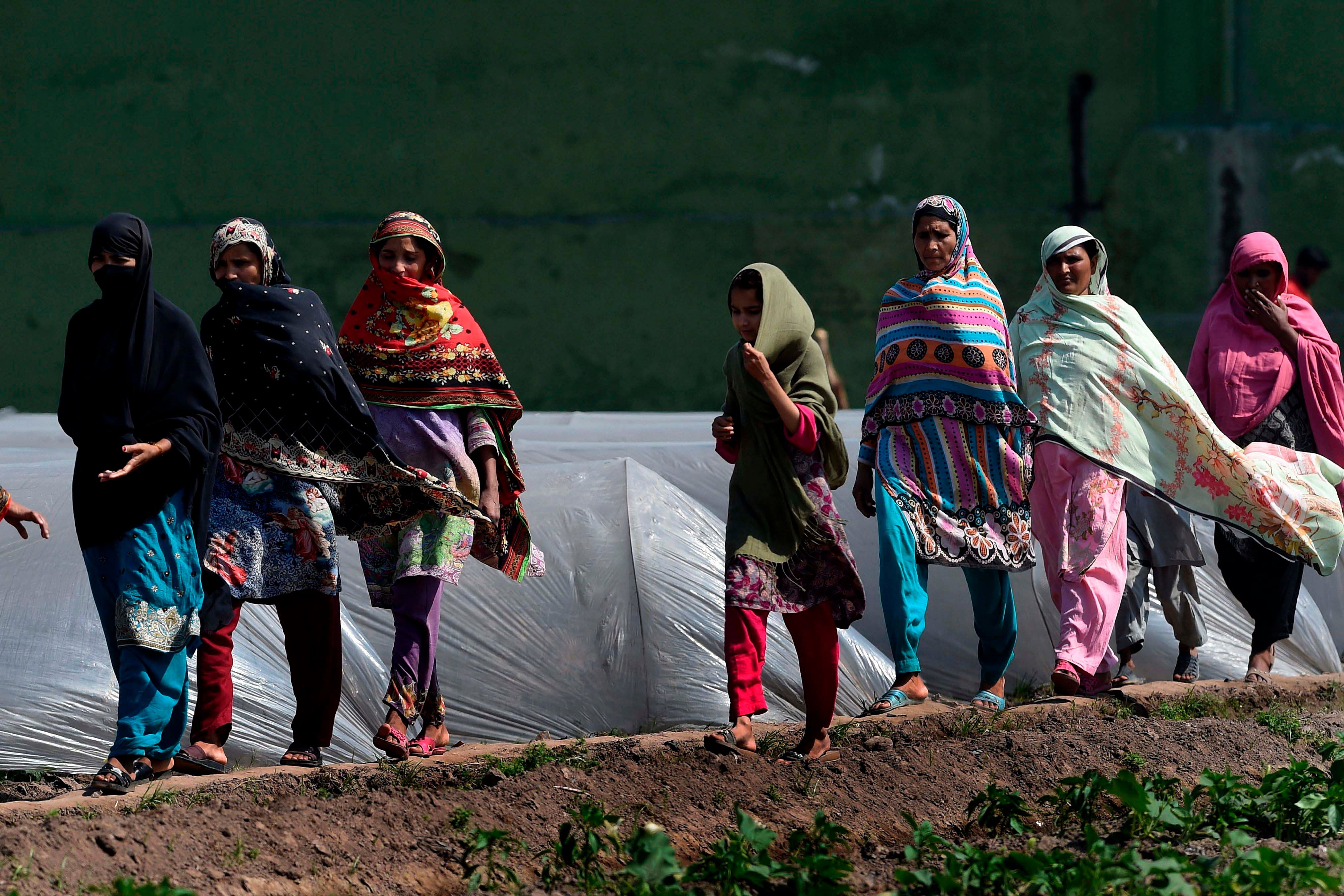 Women arrive at an agricultural farm