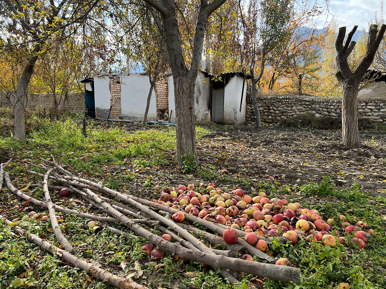 The lack of burn damage to surrounding vegetation near this burned-down lavatory in the Kyrgyz village of Ak-Sai indicates that fire did not spread naturally and suggests the structure was burned on purpose.