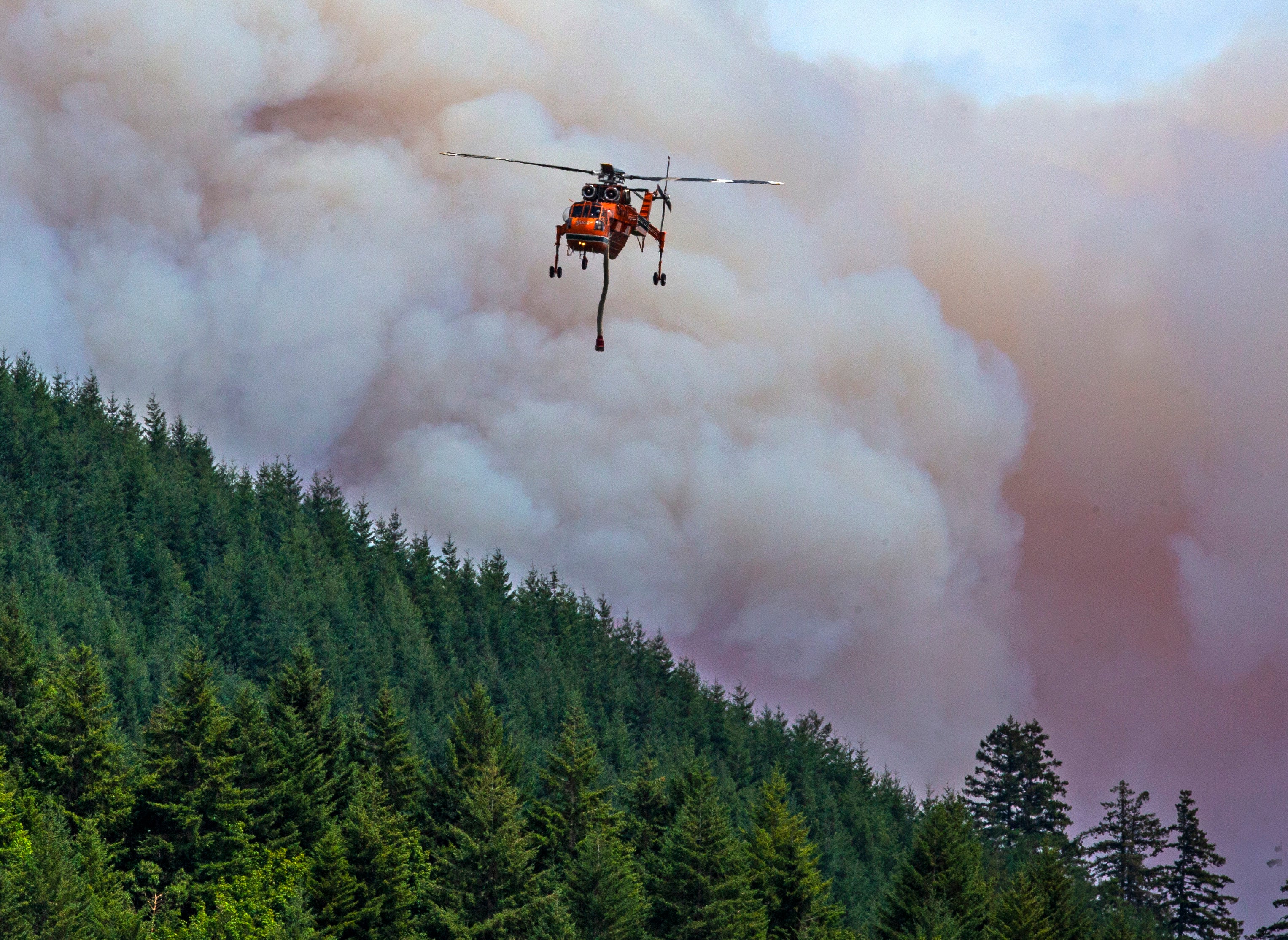 Un helicóptero vuela entre el incendio de Bedrock y el arroyo cercano Fall Creek para obtener una carga de agua mientras el fuego forestal arde al este de Eugene, Oregón, 24 de julio de 2023.  