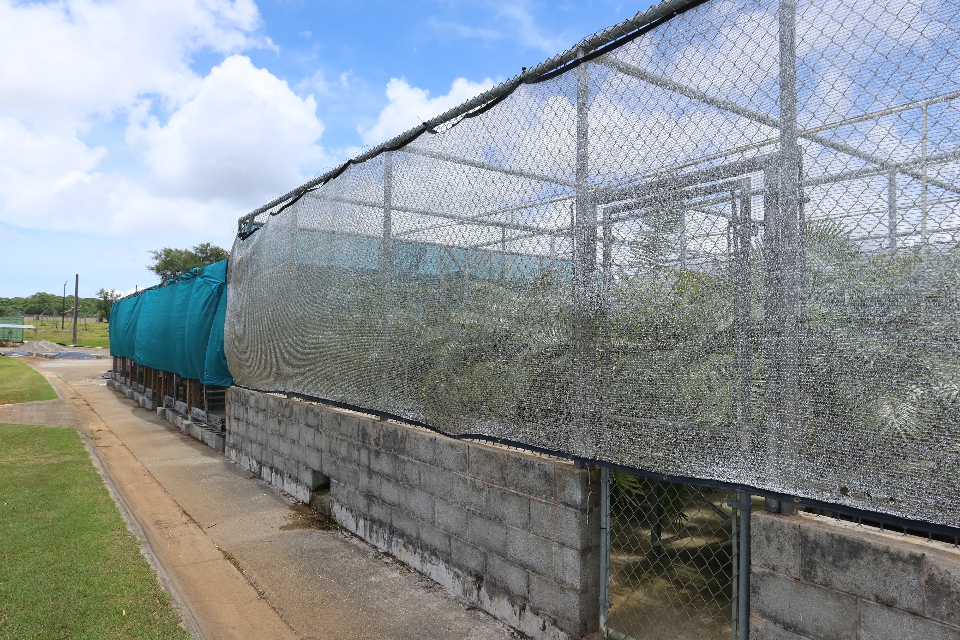greenhouse at Camp Blaz in Guam