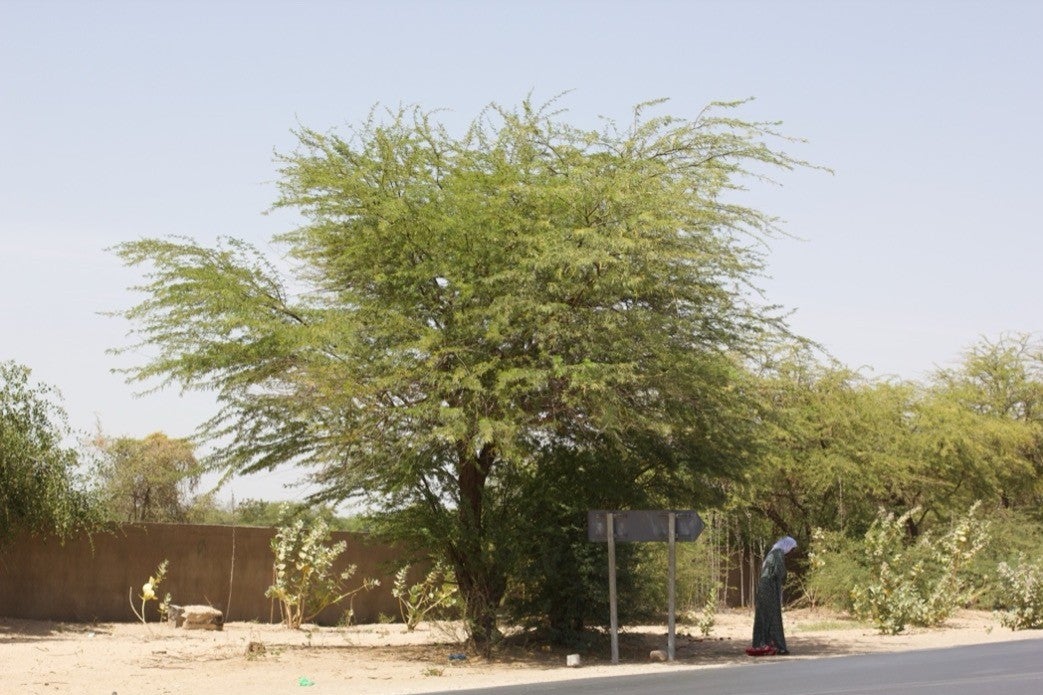 A woman waits on the side of the highway that runs by Khar Yalla, April 2025. 