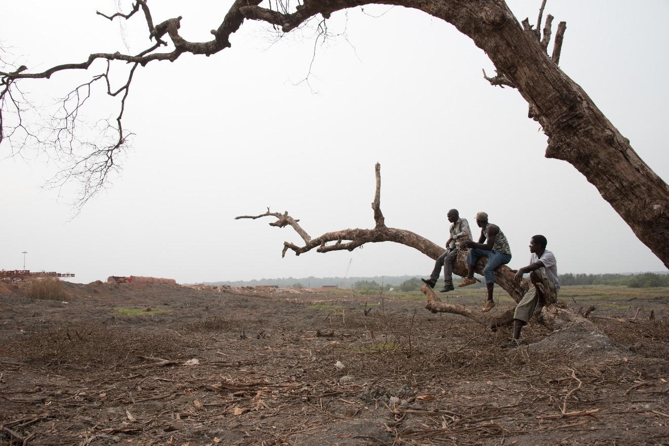 Des agriculteurs du village de Dapilon, dans la région de Boké, contemplent les terres fertiles situées le long du Rio Nunez qui ont été défrichées pour la construction d’un port minier appartenant à la Société minière de Boké. Janvier 2018. 