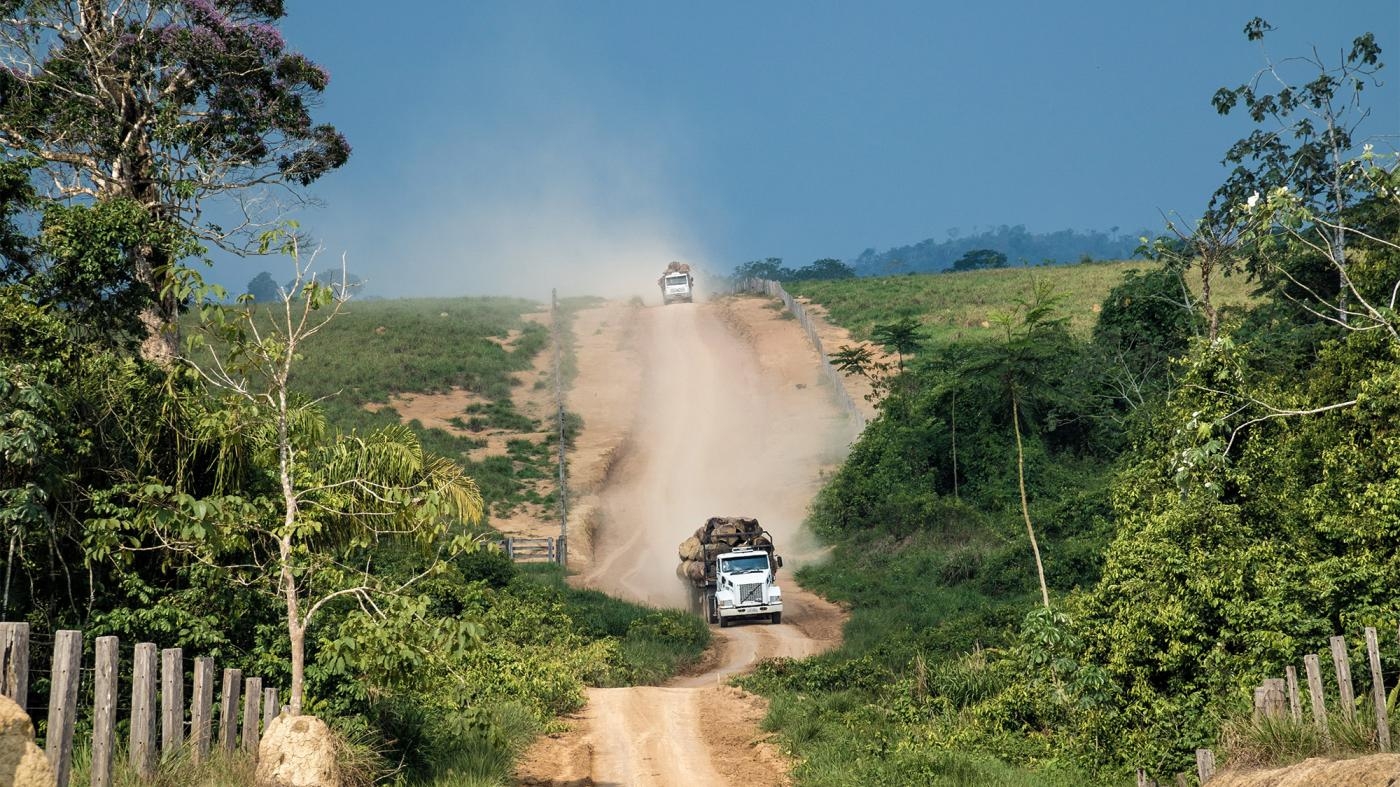  Caminhões transportam madeira extraída ilegalmente de dentro do assentamento Terra Nossa. September 30, 2019.
 © 2019 Fernando Martinho/Repórter Brasil