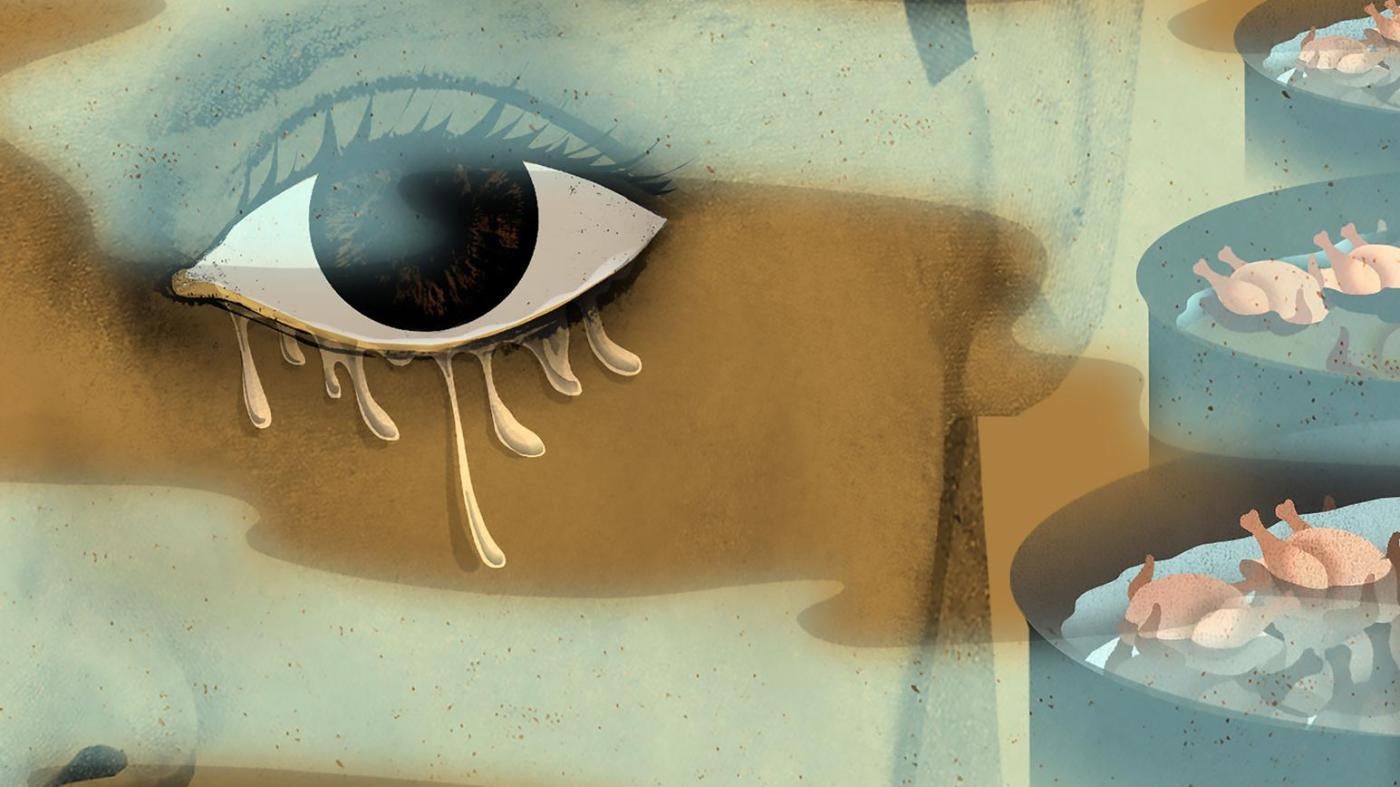 201909bhr_usp_meatpacking_chemicalillo