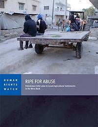 Palestinian laborers, including a 16-year-old, head out to work at a farm on an Israeli settlement in the West Bank.