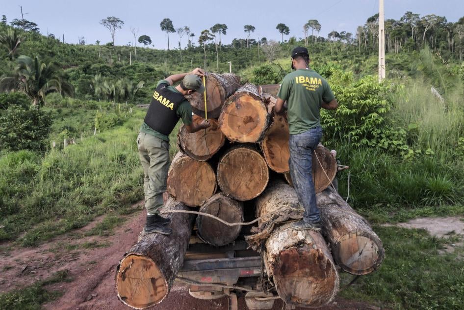En esta foto del 10 de marzo de 2018 divulgada por el Instituto Brasileño de Medio Ambiente y Recursos Naturales Renovables (Ibama), los agentes miden madera extraída ilegalmente de la tierra indígena Cachoeira Seca en el estado de Pará, en la Amazonia.
