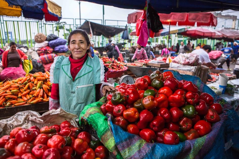 Luzmila Elba Rojas Morales is a food vendor in Lima, Peru and part of a national network of self-employed workers RENATTA (Red Nacional de Trabajadoras/es Autoempleadas) that works closely with WIEGO (Women in Informal Employment: Globalizing and Organizing) including on occupational health and safety and social inclusion campaigns. 