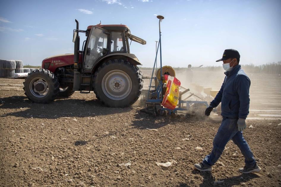 Uyghur Cotton Farmer