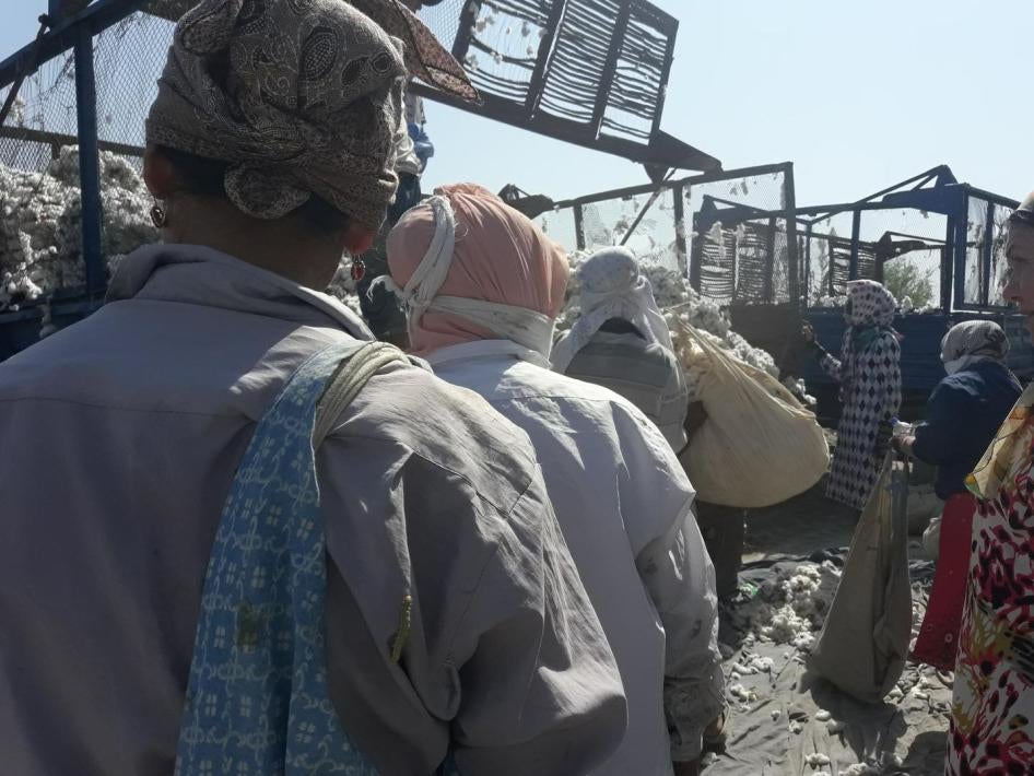 Workers load cotton that they have picked onto trucks during the 2016 cotton harvest.