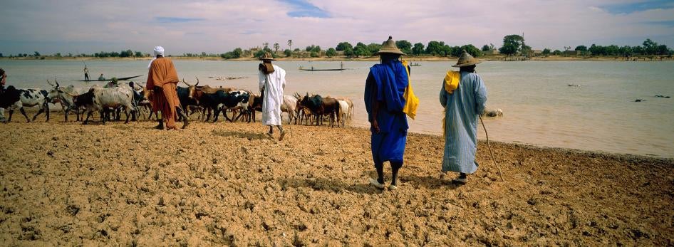 Des éleveurs peuls attendent pour traverser la rivière Bani, près de Sofara, dans le centre du Mali. Le 7 août 2018, une milice dozo aurait arrêté 11 commerçants peuls alors qu'ils attendaient pour traverser la rivière afin de se rendre au marché de Sofar