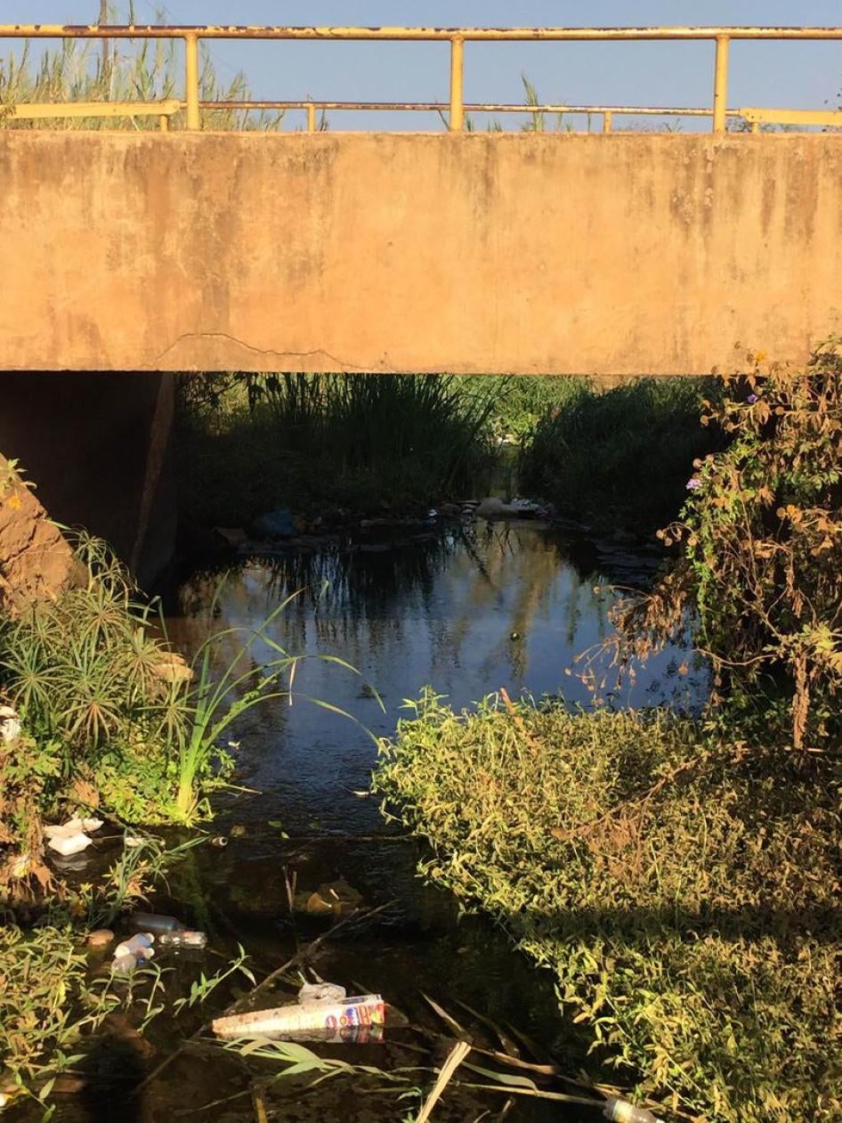 201908_Zambia_photo01