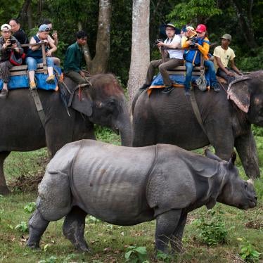 Tourists on an elephant safari in Chitwan National Park in southern Nepal watch an Indian one-horned rhino, July 2016. 