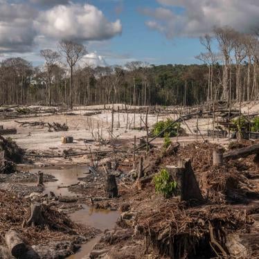 Deforested area in the Yanomami Indigenous Territory, located in the Brazilian states of Roraima and Amazonas, in June 2021.