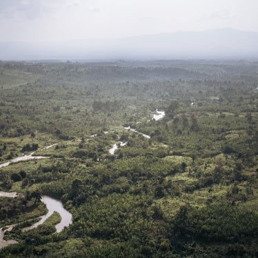 Aerial photo of the Rutshuru River in the DRC.