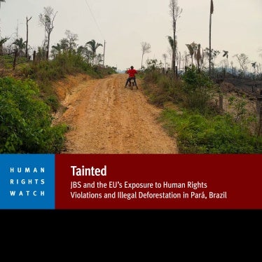 report cover in English