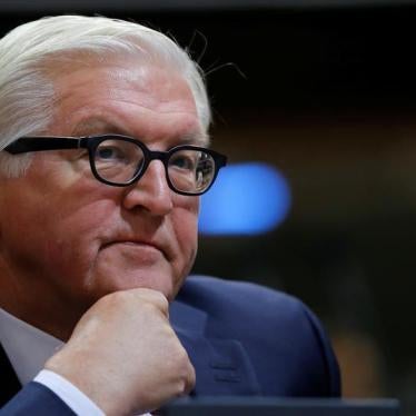 German Foreign Minister Frank-Walter Steinmeier waits to address the Parliamentary Assembly of the Council of Europe in Strasbourg, France, October 13, 2016.