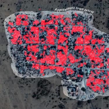 Fire-burns scars and building destruction in Dalori, Nigeria, February 2, 2016.