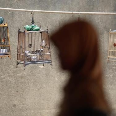 A woman walks past birdcages after she crossed the border from Malaysia into Thailand in Sungai Kolok in southern Narathiwat province March 8, 2013.
