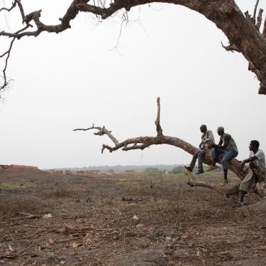Farmers from Dapilon village, in the Boké region, look out over land, on the banks of the River Nunez, cleared for the construction of a mining port belonging to the La Société Minière de Boké consortium.
